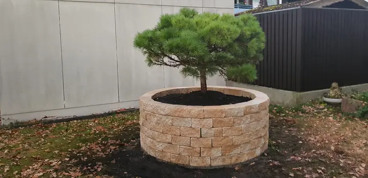 Modernes Gartentor mit Sichtschutz von Rein & Gartenservice in Altdorf bei Nürnberg